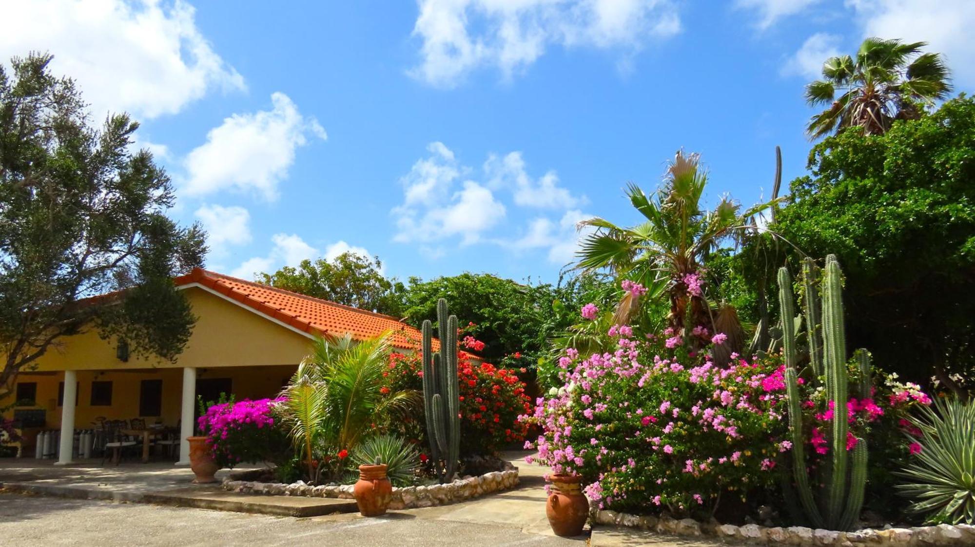 Lagun Blou Resort Curacao Экстерьер фото